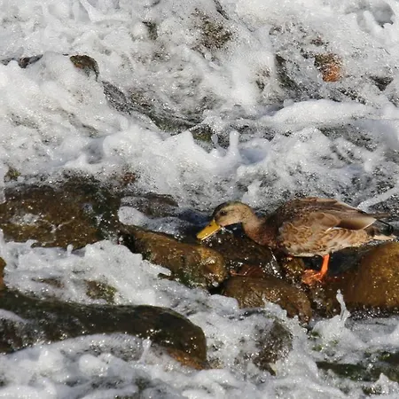 Le Moulin Du Temps -chambres Et Lounge Bar Au Bord De La Riviere Corbes