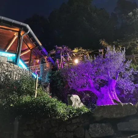 Le Moulin Du Temps -chambres Et Lounge Bar Au Bord De La Riviere Bed & Breakfast Corbes