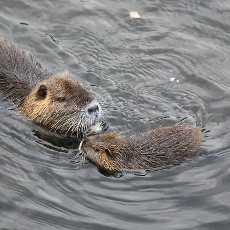 Le Moulin Du Temps -chambres Et Lounge Bar Au Bord De La Riviere